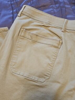 Democracy Women's Tan Cargo Pants